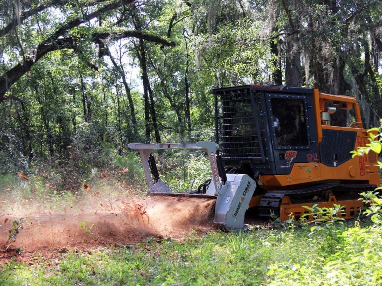 Forestry Mulching Red Hills Landworks Tallahassee, FL