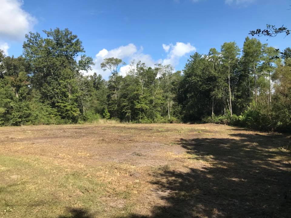 Before and After - Red Hills Landworks - Tallahassee, FL